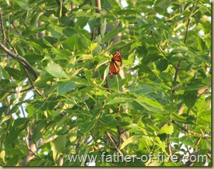 IMG_0312_640x480