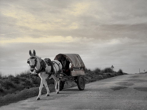 Carretera de Noblejas a Aldehuela