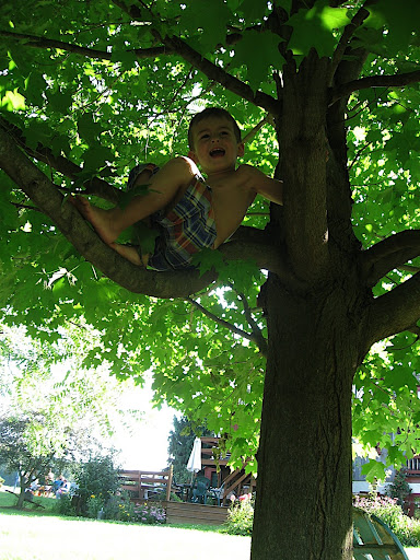 IMG_4516.JPG