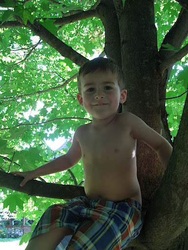 IMG_4518.JPG