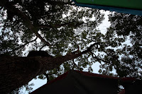 20080105_3523.JPG