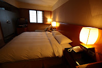IMG_0226_20080215.JPG