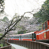 20070317-18  阿里山