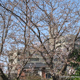 IMG_3164.JPG