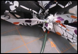 IMG_2539_edited-1