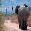 marakele roadblock.jpg