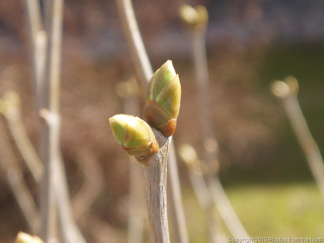 [Spring 2010 019[9].jpg]