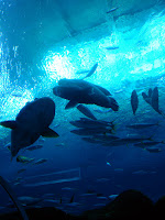 DSC04946.JPG