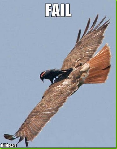 fail-flying-eagle