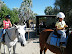 Gwyneth and friend on horses.