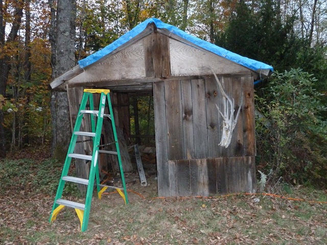 [P1010991[4].jpg]