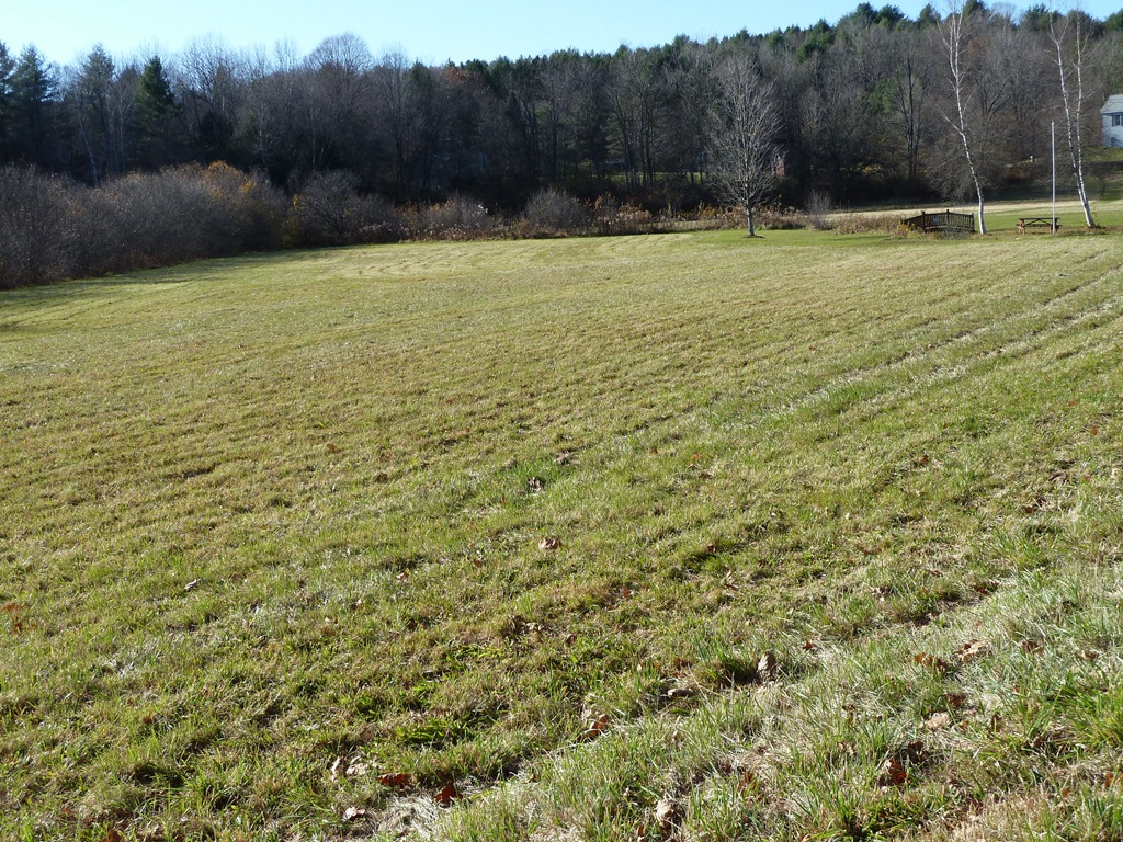 [P1020859[4].jpg]