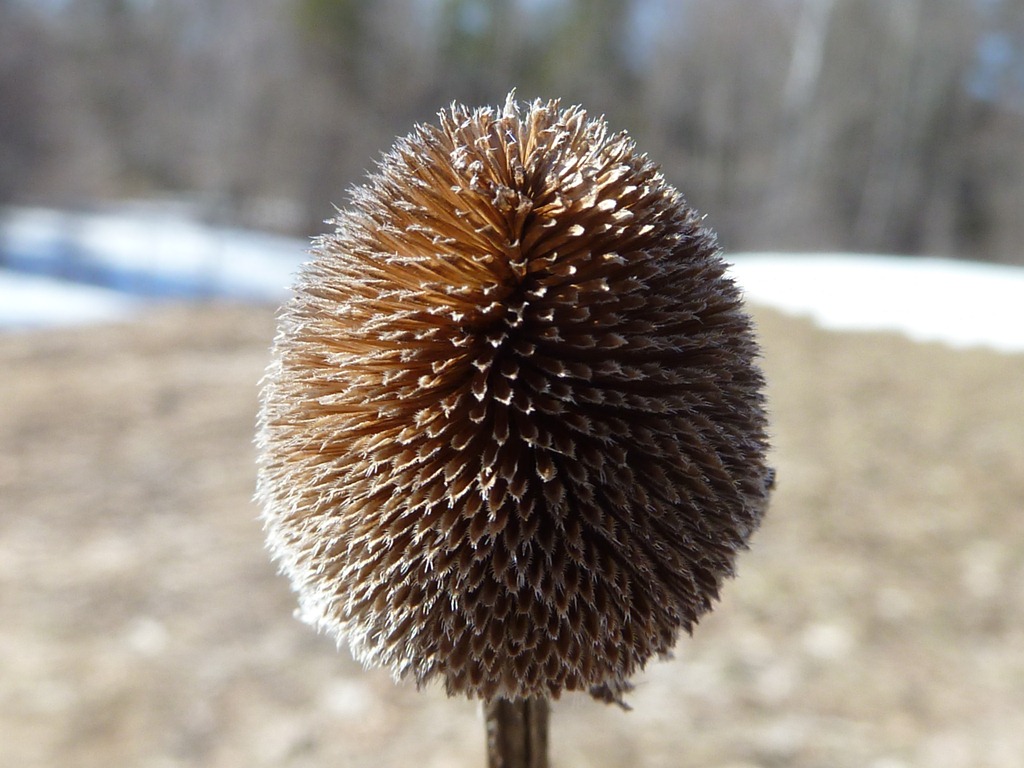 [P1050020[8].jpg]