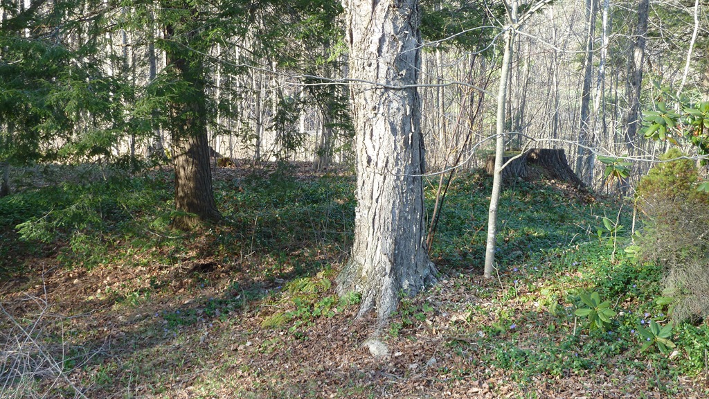 [P1060506[4].jpg]