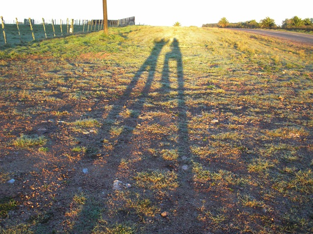 [Sombras amanecer[2].jpg]