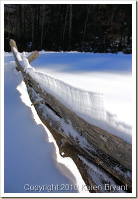 fence1_sm