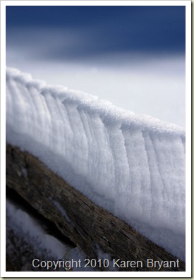 fence2_sm