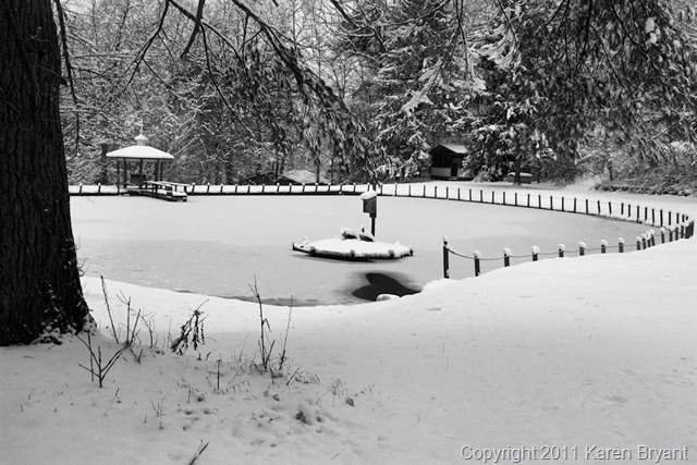 [pond_bw2_sm[8].jpg]