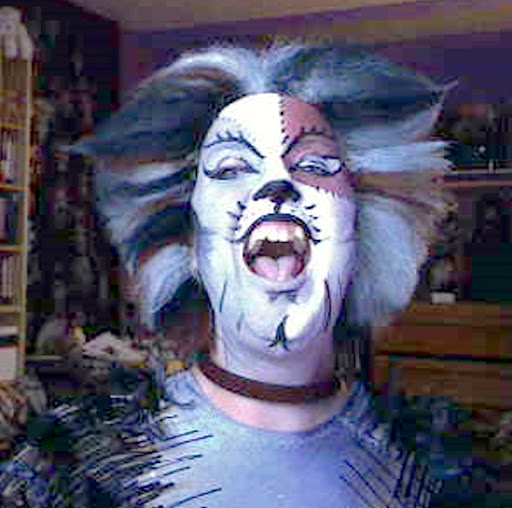 cats musical cats musical. cats musical