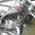 Palm Beach Triumph MSS