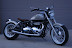 Dennis Oakes' America (stretched rear swingarm) MSS