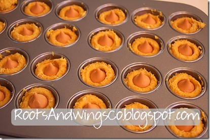 [pumpkin cookies_thumb[1][4].jpg]