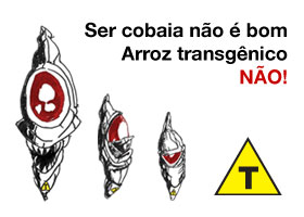 Ser cobaia não é bom. Arroz Transgênico NÃO!
