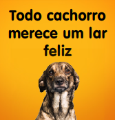Adotar é Tudo de Bom