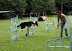 7&Atilde;&fnof;&acirc;&euro;&scaron;&Atilde;&sbquo;&Acirc;&ordf; Etapa - 13/01/2008 - Nat&Atilde;&fnof;&AElig;&rsquo;&Atilde;&sbquo;&Acirc;&iexcl;lia e Isis