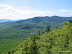 View of the greenery