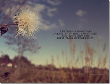 Word of love quotes