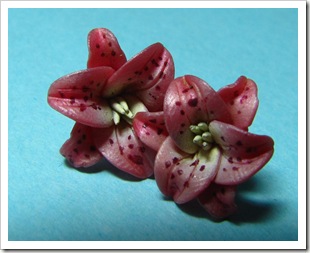 pink earrings