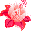 lotusgif