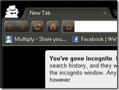 incognito
