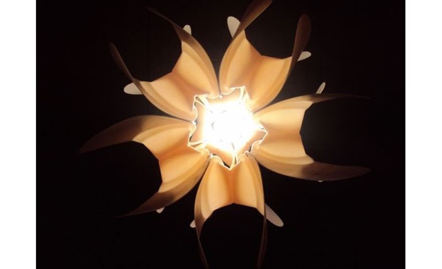 [327884-LOTO_lamp2[5].jpg]