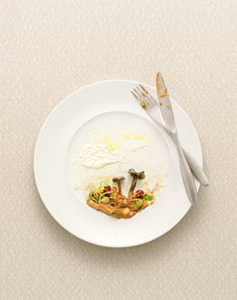 AlexanderCrispinFoodLandscapes3