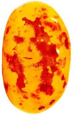 Kate Middleton Spotted On Jelly Bean