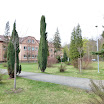 P1010061.JPG