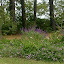 NellJean's Frontyard garden