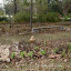 NellJean's Butterfly garden
