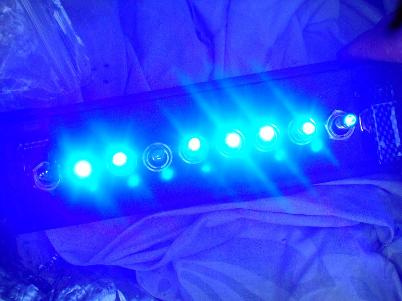 DSCF0042.JPG