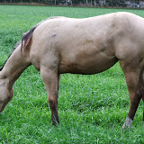 Ursulla1.jpg
