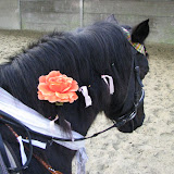 IMG_2325.JPG