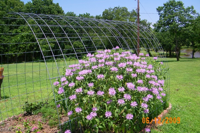 [100_1374[4].jpg]