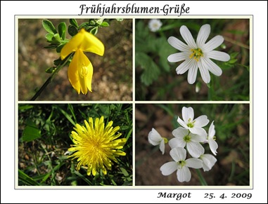 Collage Frühjahrsblumen1