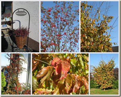 collage - Der Herbst ist da