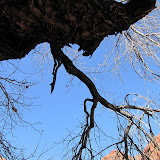 IMG_2442.JPG
