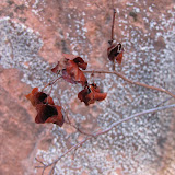 IMG_2506.JPG