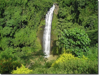 800px-Ph_bukidnon_sumilao_alalumfalls