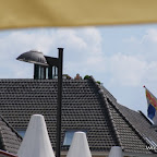 DSC06115.JPG